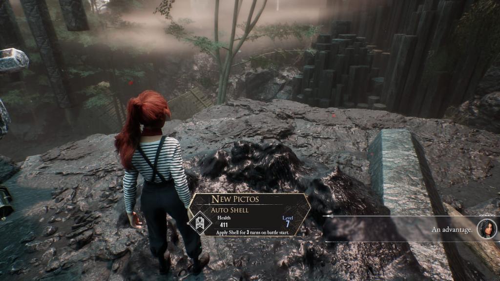 Auto Shell Picto description