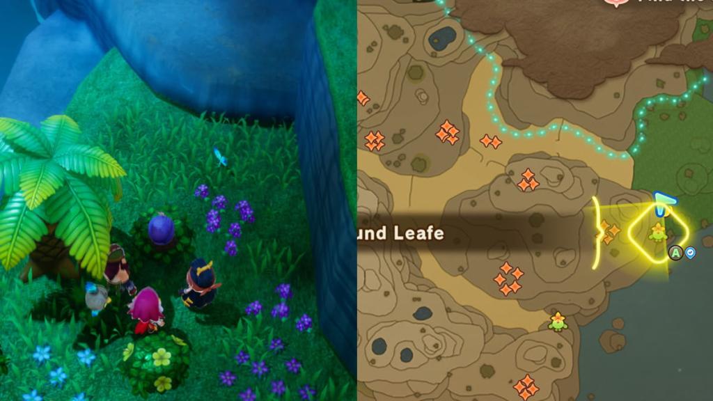 Fantasy Life i East Dryridge Desert fifth Leafe location