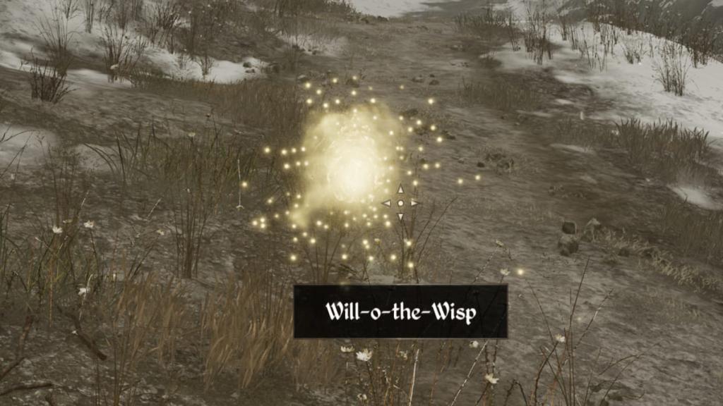 Oblivion Remastered Will-o-the-wisp