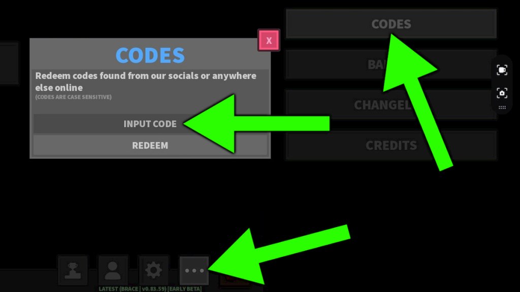 How to redeem Brace codes.
