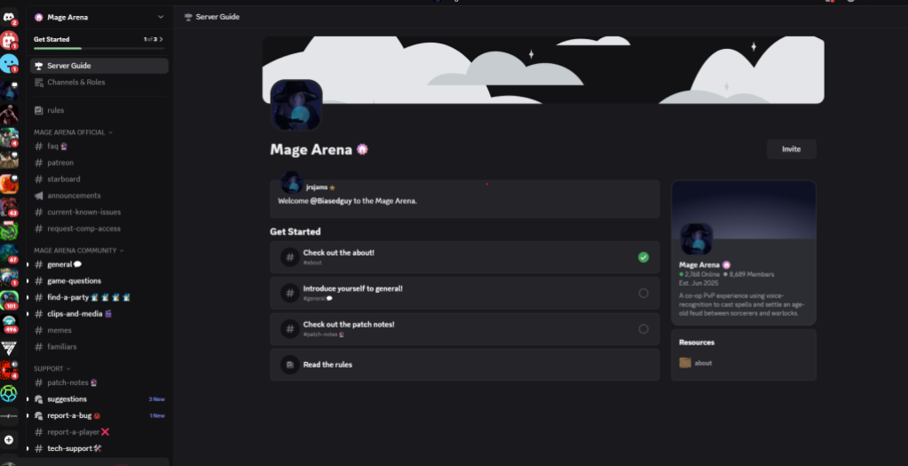 Mage Arena's official Discord