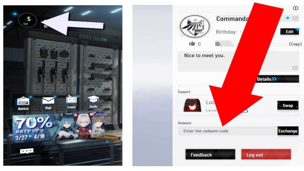 How to redeem codes in pgr.