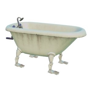 Clawed foot tub in DDV