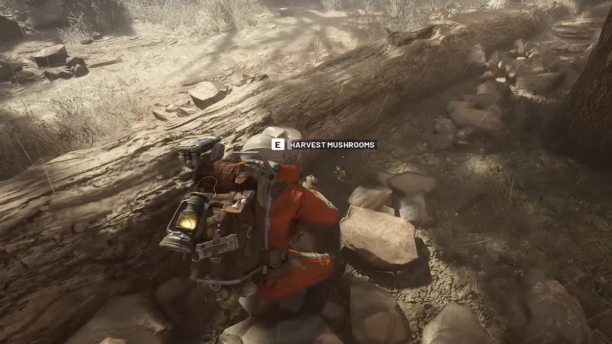 Mushrooms in ARC Raiders