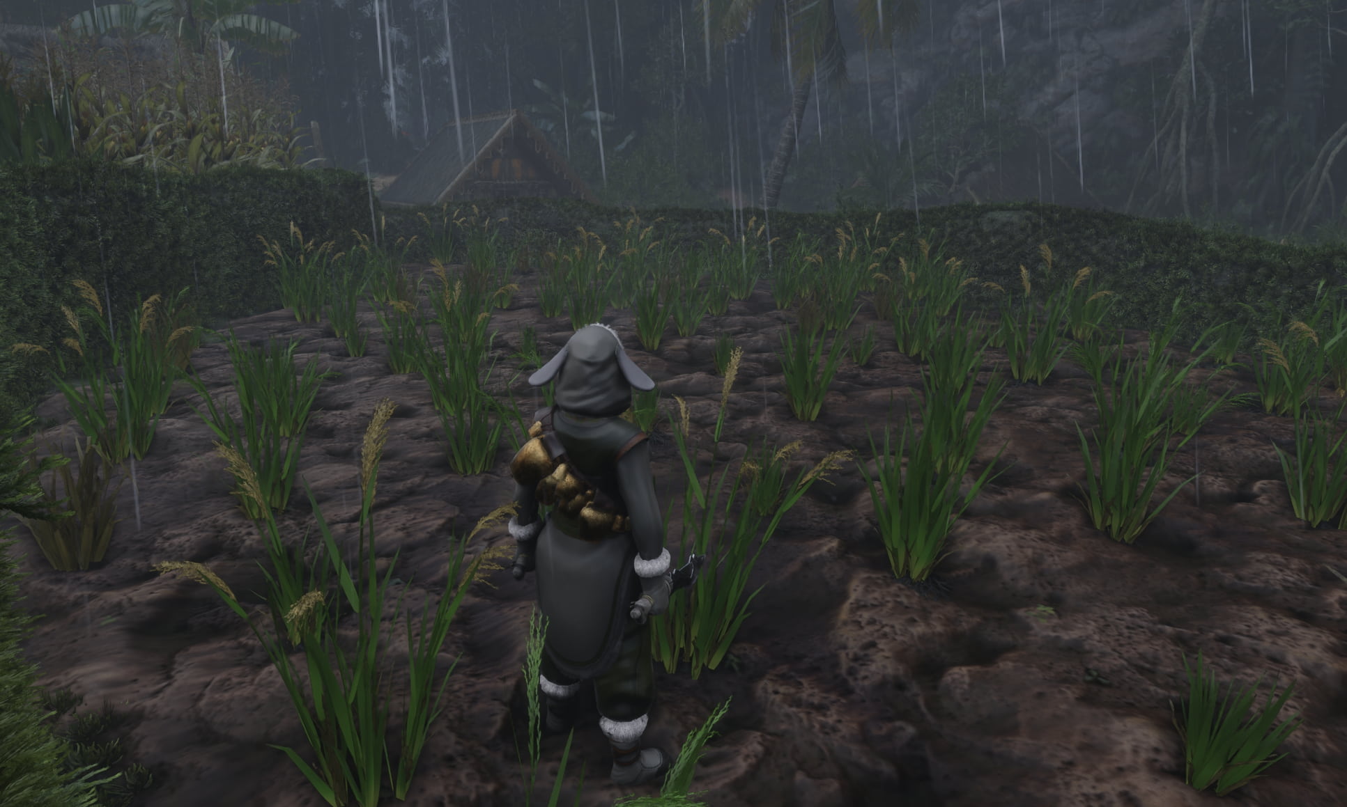 An image in Enshrouded showing the player standing in front of grass in a plowed field.