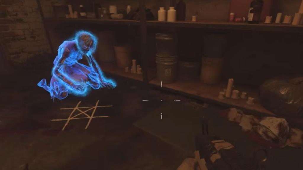 One of the twins at Vandorn Farm