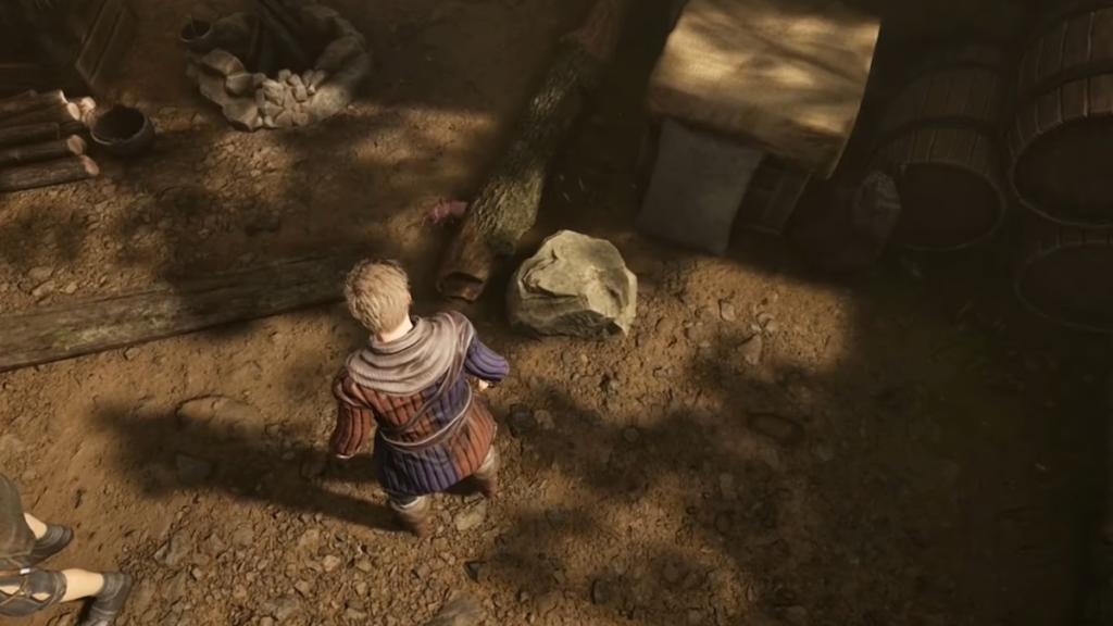 Bugs in the Shores region