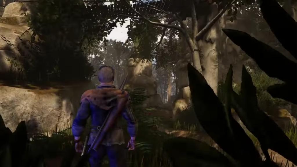 Bridge that leads to the treehouses