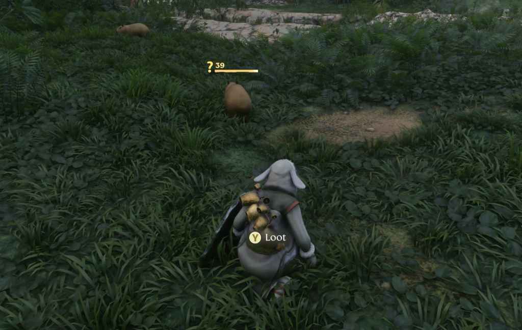 A screenshot from Enshrouded showing the player character crouching to tame a capybara in front of it. The capybara has a yellow question mark next to its level.