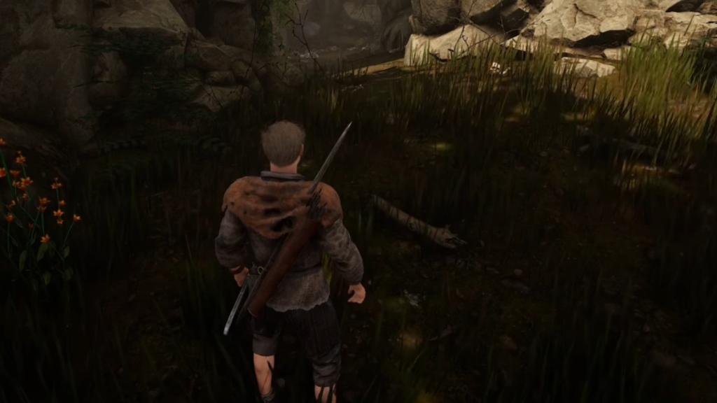 Cave that leads to the first treasure