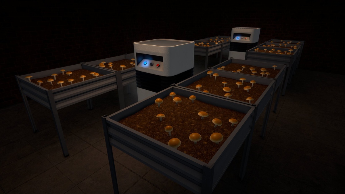 Shrooms in Schedule 1