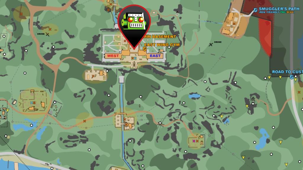 Christmas Tree on Shoreline