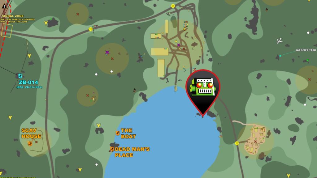 Christmas Tree on Woods