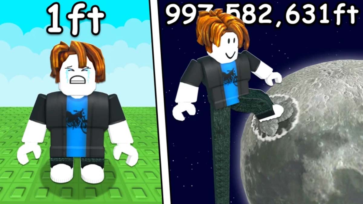 Get Tall And Fall Codes Featured Image