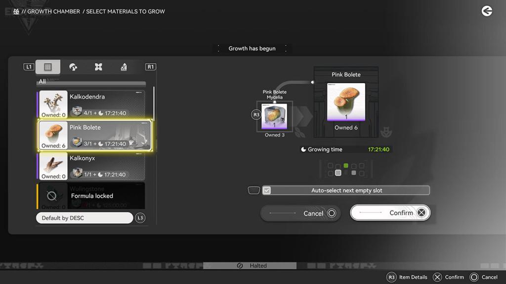 Pink Bolete, as seen in the Growth Chamber.