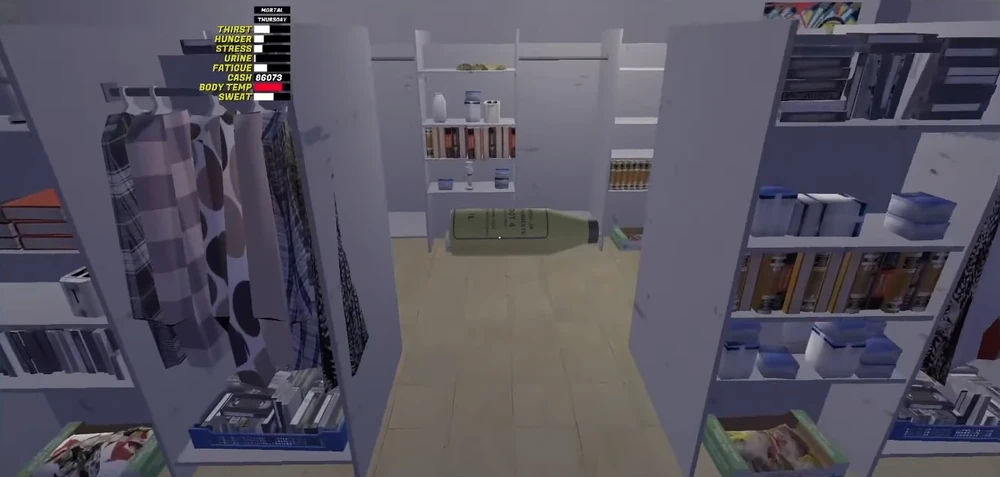 Interiors of the Flea Market