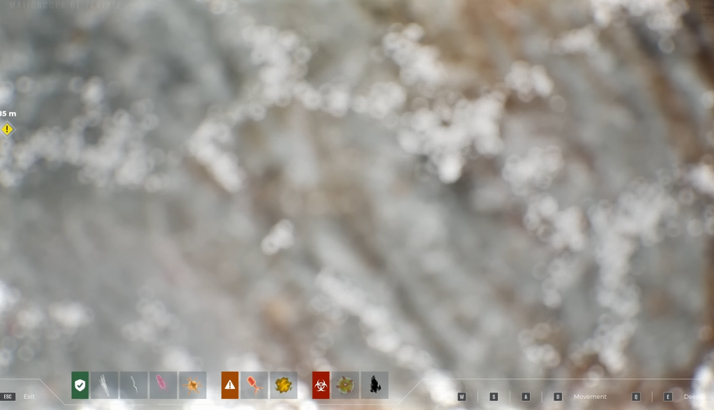 Symptoms detectable by the Matioscope in Quarantine Zone