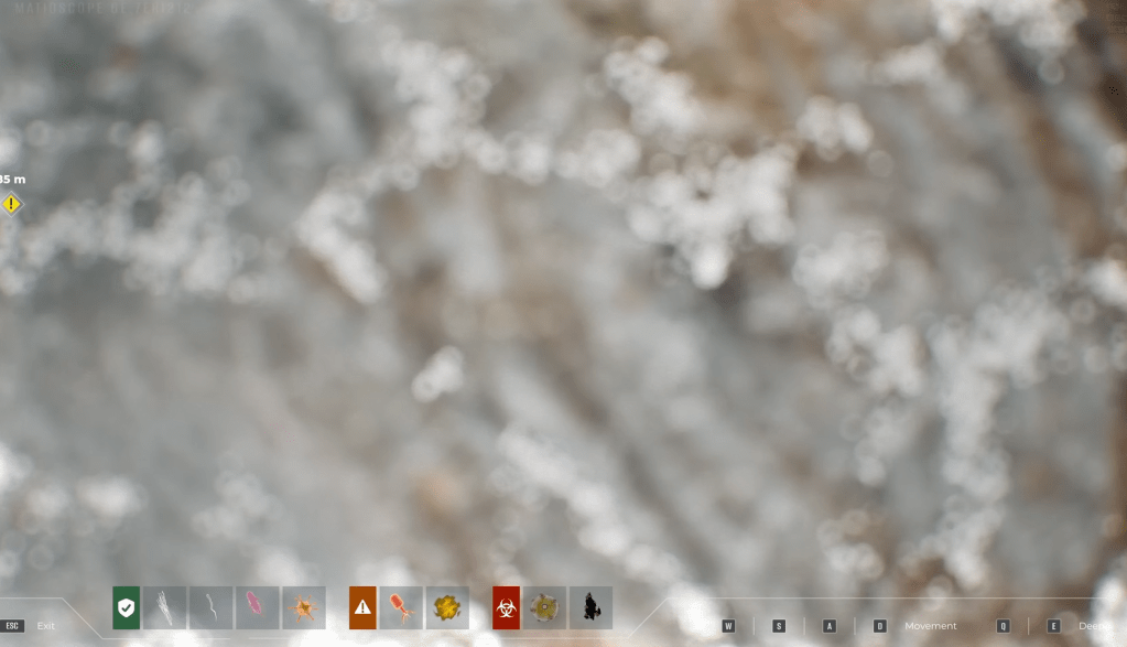 Symptoms detectable by the Matioscope in Quarantine Zone