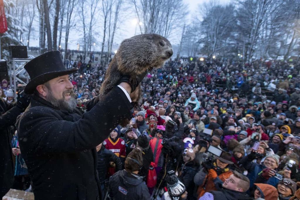Punxsutawney Phil Groundhog Day