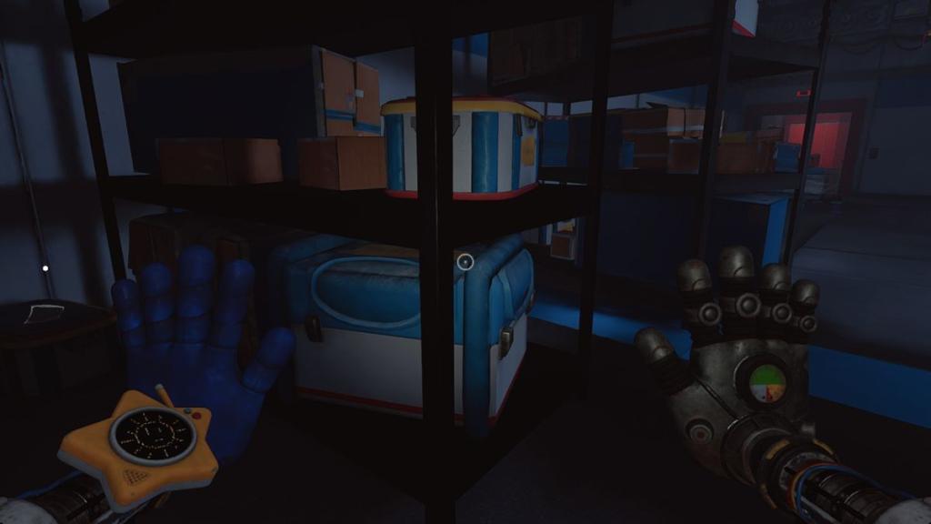 Note in corner of room with shelving units and luggage