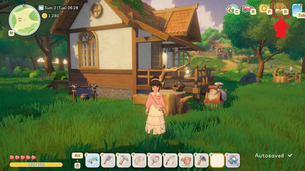 Bag icon marked in starsand island