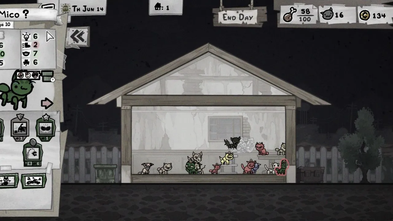 Cat house for breeding in Mewgenics.