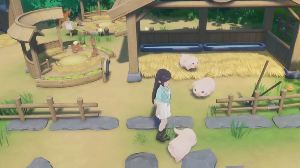 Player standing with pigs in starsand island