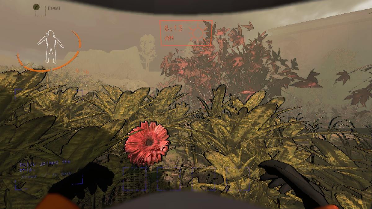 A red poppy on Adamance