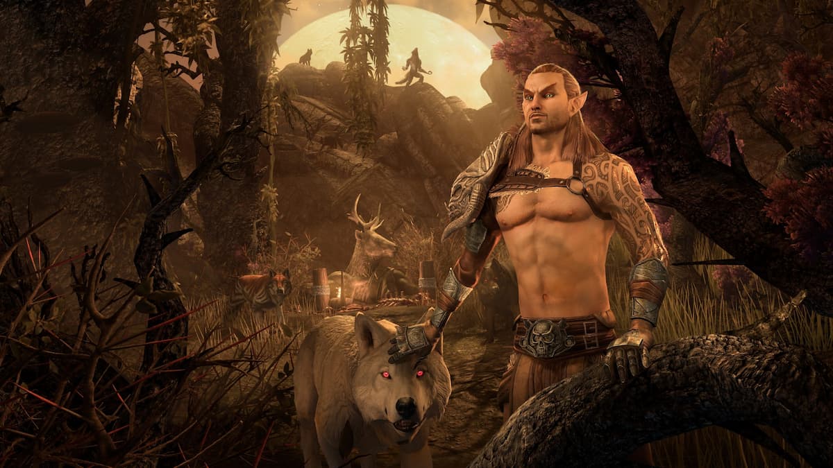 A Bosmer with a white wolf in tow, showing ESO's Werewolf quest giver.