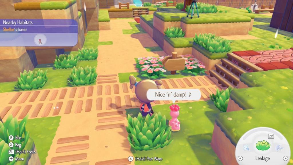 Shellos expresses how nice and damp its signpost is with a ton of flowers and grass around it.