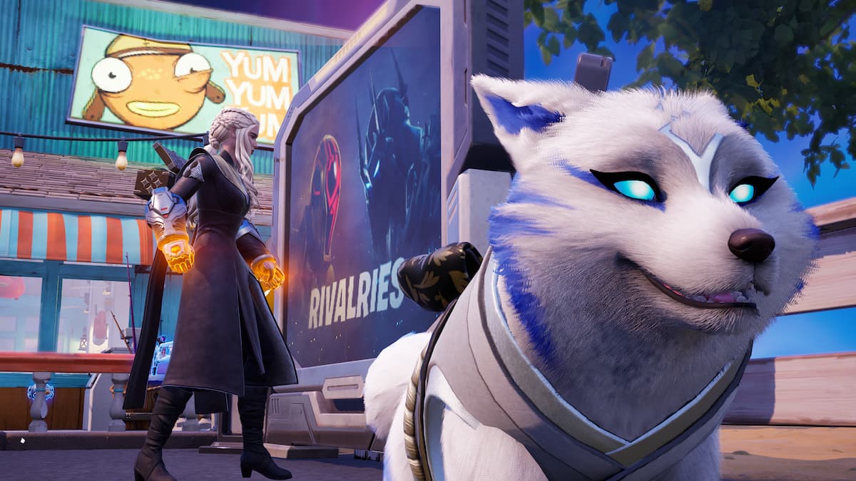 Dany and a white fox standing by a rivalry board in fortnite