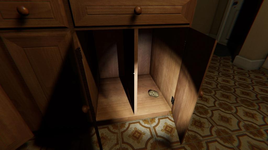 Potato in cabinet in phasmophobia