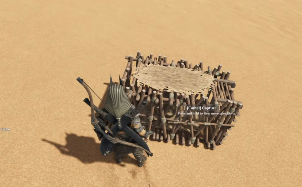 Baby camel trapped in a trap