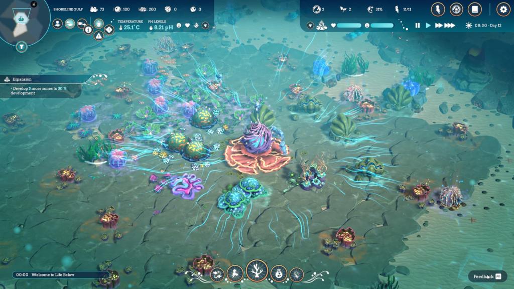 A coral reef with blue lines reaching out to all the various structures