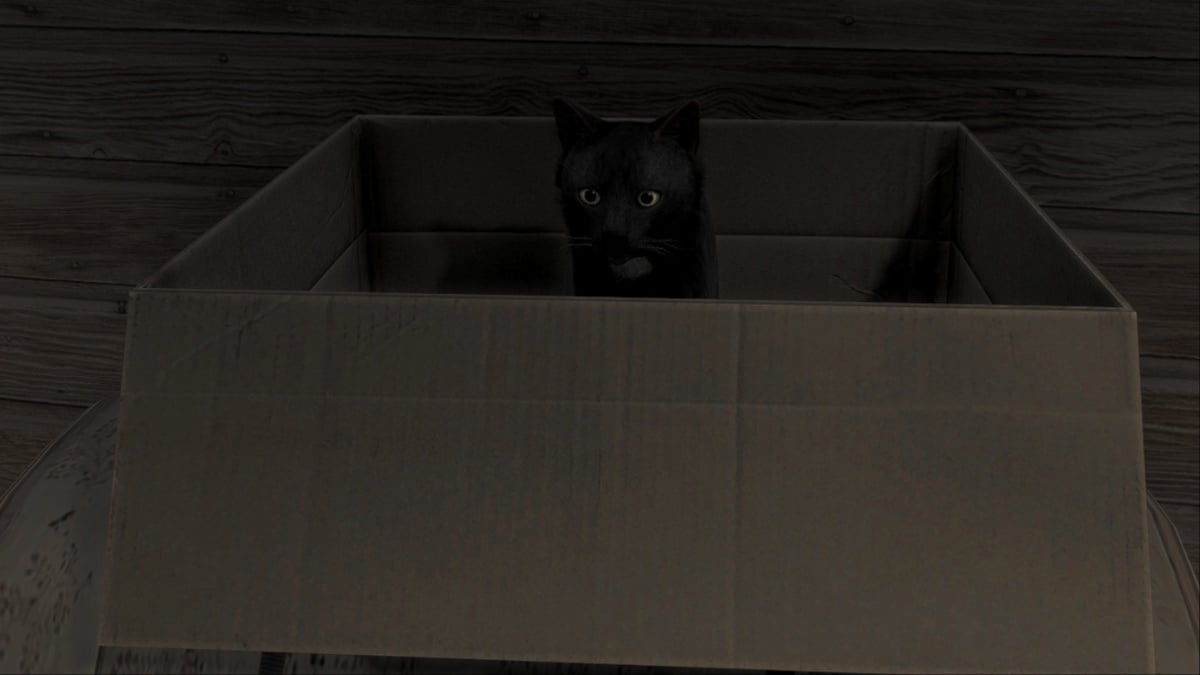 Cat in Road to Vostok