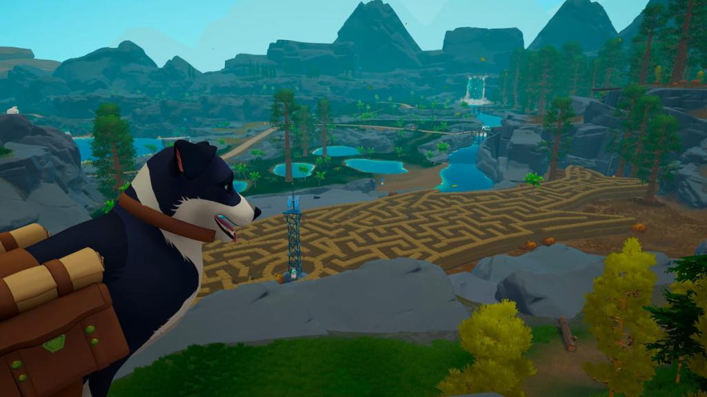 Dog looking out at maze landscape in outbound