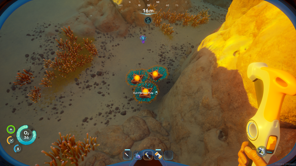 Lucifer Rotsac in Subnautica 2
