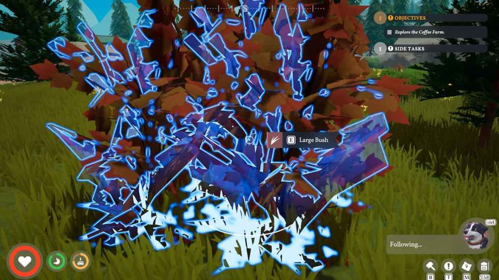 A fiber bush in outbound