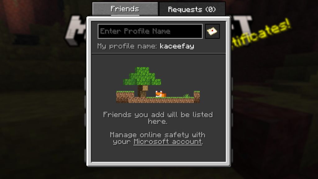 Friends list in minecraft java