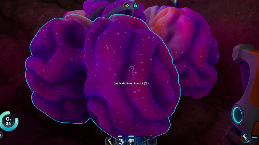 Subnautica 2 Acidic Raion pouch