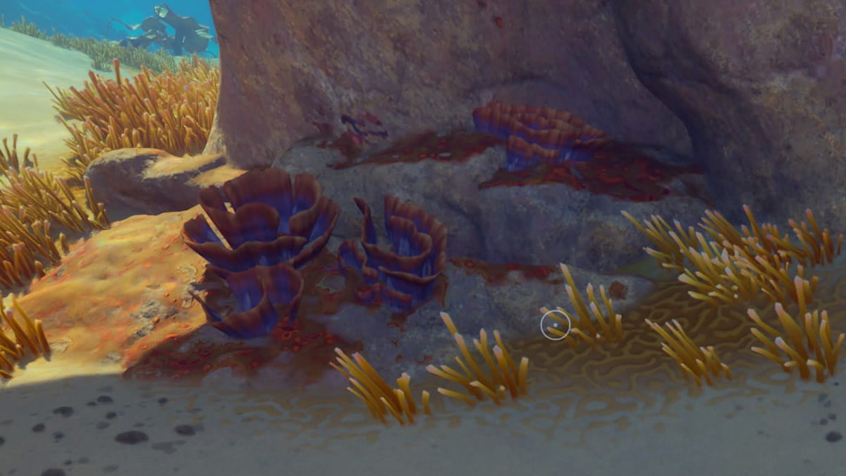 Subnautica 2 Curtain Gorgon