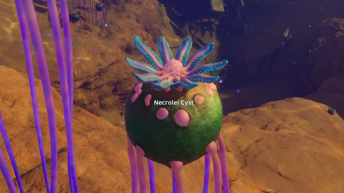 Post image 2