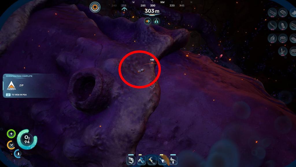 Subnautica 2 Tadpole Pens keycode databank