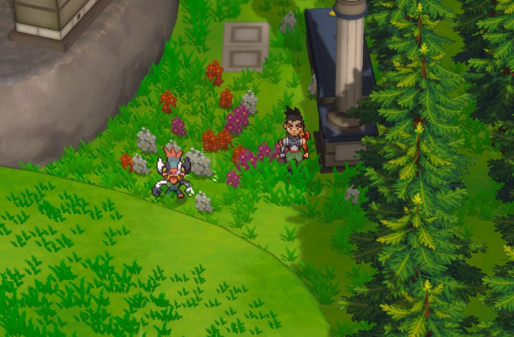 Trey stands next to a Chagma in a grassy area with flowers.