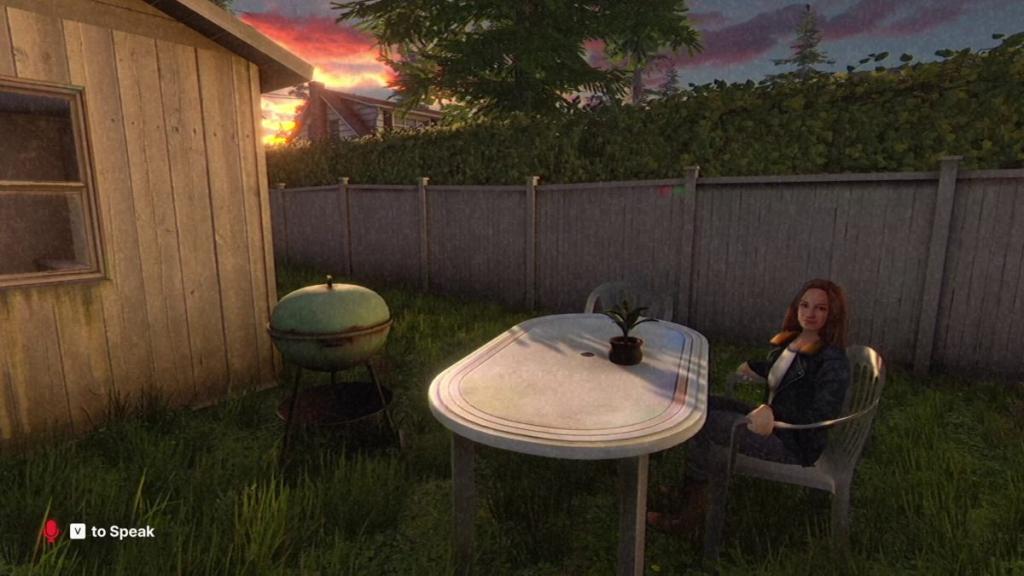 Looking at Tessa sitting on chair near barbeque grill with sun setting in background
