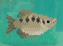 Dave the Diver Archerfish