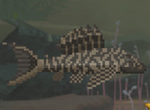 Dave the Diver Armored Catfish