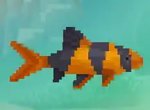 Dave the Diver Clown Loach