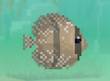 Dave the Diver Heckel Discus