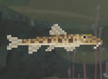 Dave the Diver Horseface Loach